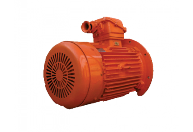 YBS（DSB）系列輸送機(jī)用隔爆型異步電動(dòng)機(jī)